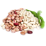 Legumes