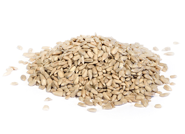 Berny - Sunflower seeds - bulk