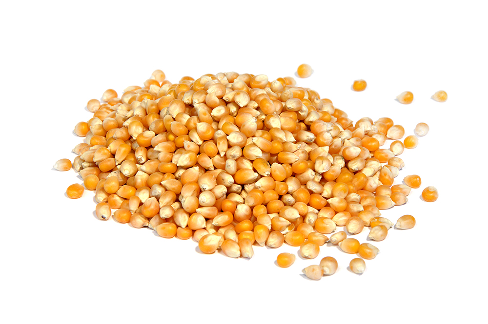 Berny - Popcorn raw - bulk